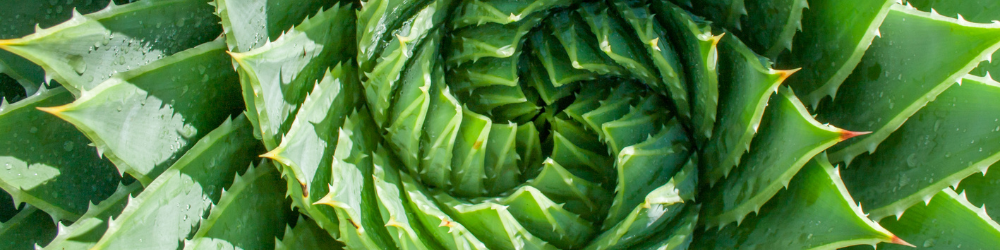 Embedding Context, Diversity and EDI into Practice (2)