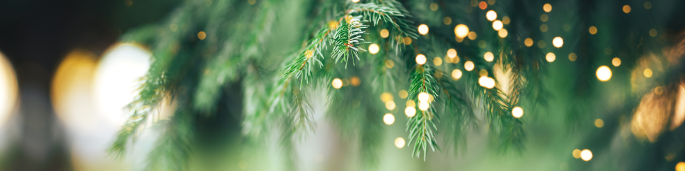 Website Full Width Banner _4